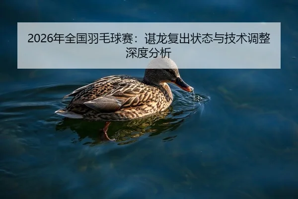 2026年全国羽毛球赛：谌龙复出状态与技术调整深度分析