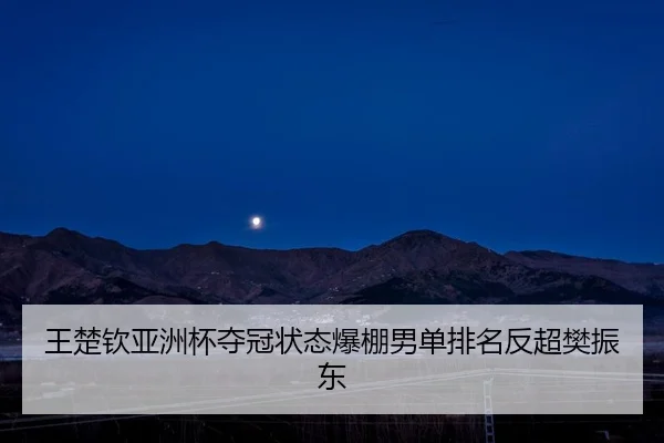 wang-chu-qin-ya-zhou-bei-duo-guan-zhuang-tai-bao-peng-nan-dan-pai-ming-fan-chao-fan-zhen-dong-2-423.jpg