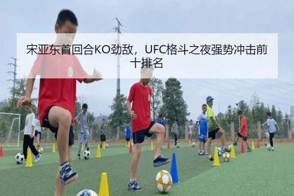 宋亚东首回合KO劲敌，UFC格斗之夜强势冲击前十排名