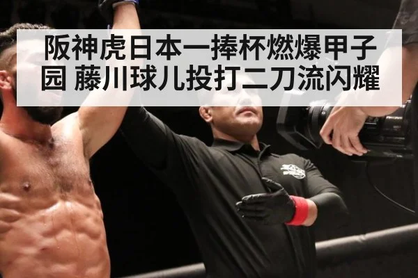 阪神虎日本一捧杯燃爆甲子园 藤川球儿投打二刀流闪耀